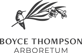 Boyce Thompson Arboretum 